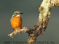 PTS-20170922-092814-00027-1024px