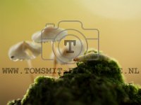 PTS-20171008-101219-00051-1024px