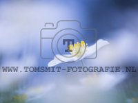 PTS-20180411-00056-1024px