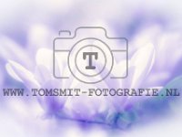 PTS-20190408-171859-00008-Bewerkt-1024px