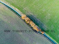 PTS-20200303-00025-1024px